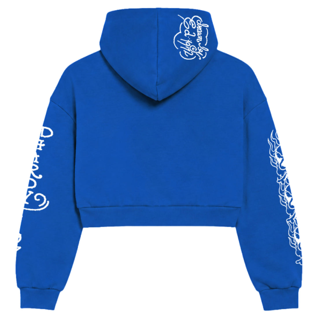 Blusa de Moletom com Capuz "Flaming Skull" Azul